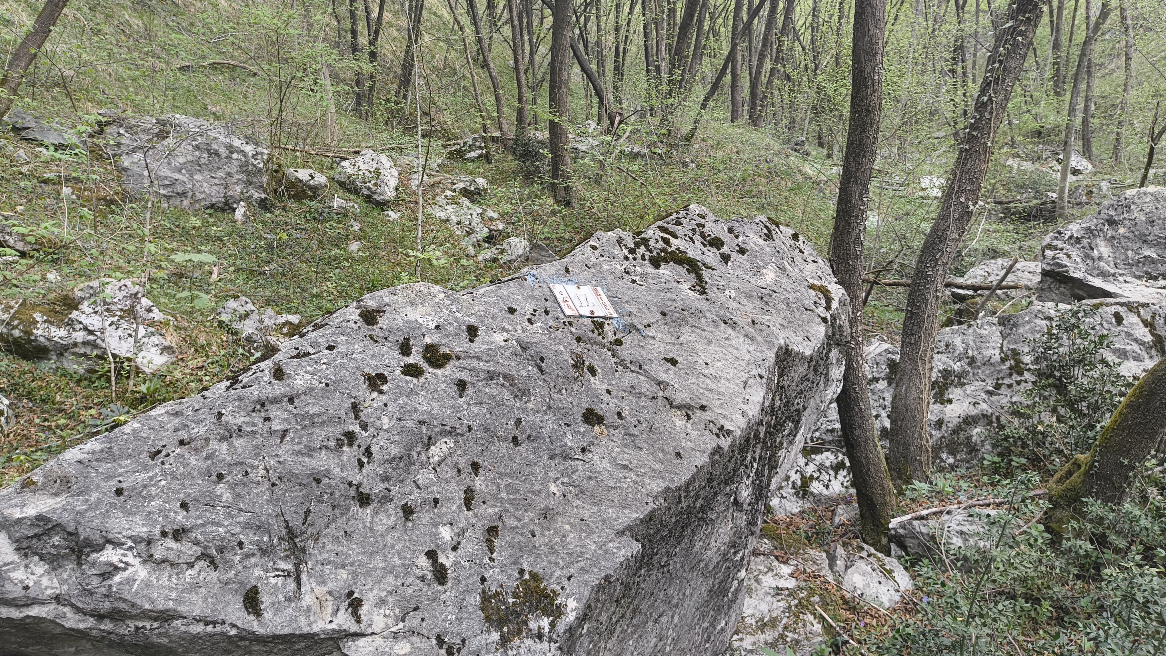 Foto n° 2 del trekking Ferrata Zucco Sileggio